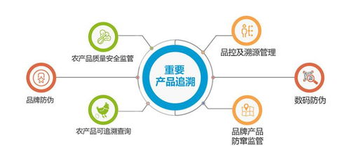追溯系統 推動企業品牌產品管理規范化與全階段監督管控的關鍵路徑